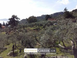 Αγροτεμάχια 36.600 τ.μ. για πώληση, Ν. Καβάλας, Καβάλα-thumb-7