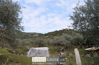 Αγροτεμάχια 5.780 τ.μ. για πώληση, Ν. Καβάλας, Ελευθερές-thumb-5