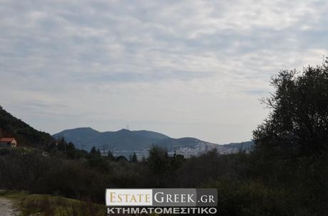 Αγροτεμάχια 5.780τ.μ. για πώληση-Ελευθερές » Νέα ηρακλίτσα