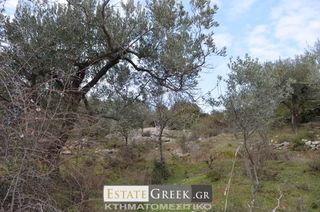 Αγροτεμάχια 5.780 τ.μ. για πώληση, Ν. Καβάλας, Ελευθερές-thumb-3