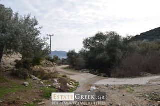 Αγροτεμάχια 5.780 τ.μ. για πώληση, Ν. Καβάλας, Ελευθερές-thumb-6