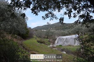 Αγροτεμάχια 5.780 τ.μ. για πώληση, Ν. Καβάλας, Ελευθερές-thumb-7