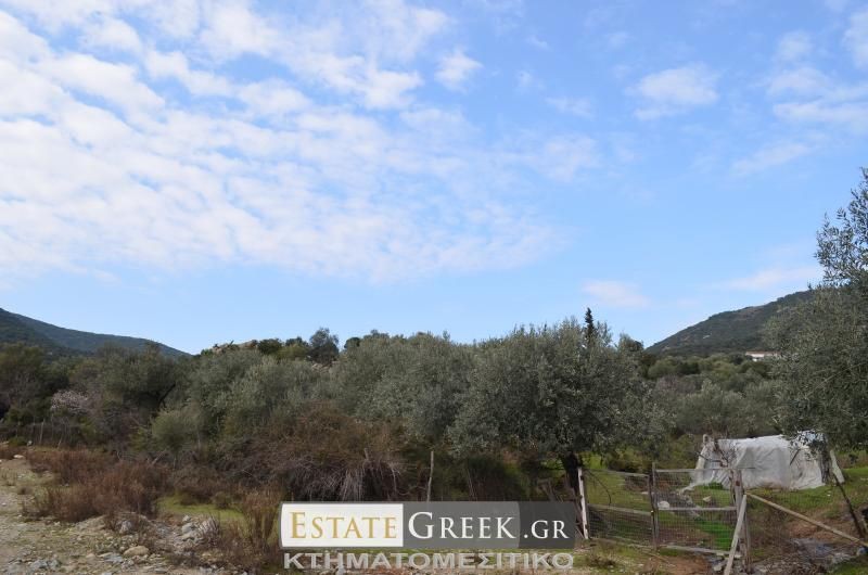 Αγροτεμάχια 5.780 τ.μ. πρός πώληση, Ν. Καβάλας, Ελευθερές