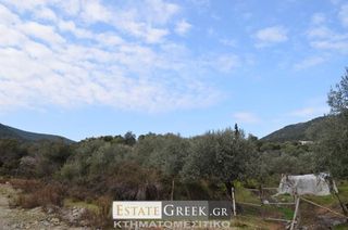 Αγροτεμάχια 5.780 τ.μ. για πώληση, Ν. Καβάλας, Ελευθερές-thumb-1