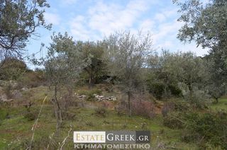 Αγροτεμάχια 5.780 τ.μ. για πώληση, Ν. Καβάλας, Ελευθερές-thumb-4