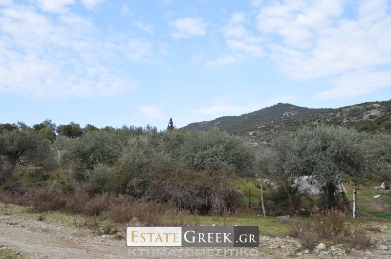 Αγροτεμάχια 5.780 τ.μ. πρός πώληση, Ν. Καβάλας, Ελευθερές