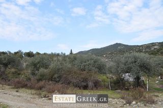 Αγροτεμάχια 5.780 τ.μ. για πώληση, Ν. Καβάλας, Ελευθερές-thumb-2