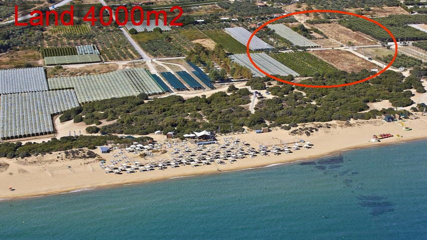 Αγροτεμάχια 4.000 τ.μ. για πώληση, Ν. Καβάλας, Ελευθερές