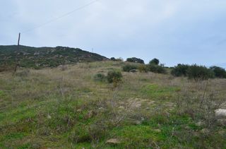 Οικόπεδο 4.828 τ.μ. για πώληση, Ν. Καβάλας, Ελευθερές-thumb-2