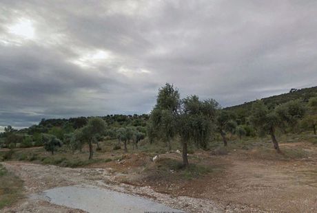Αγροτεμάχια 33.000τ.μ. για πώληση-Θάσος » Αστρίδα