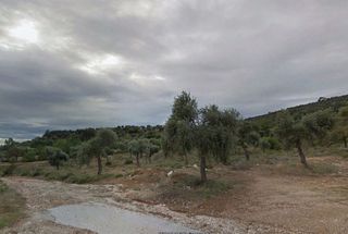 Αγροτεμάχια 33.000 τ.μ. για πώληση