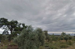 Αγροτεμάχια 33.000 τ.μ. για πώληση, Ν. Καβάλας, Θάσος-thumb-1