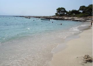 Αγροτεμάχια 33.000 τ.μ. για πώληση, Ν. Καβάλας, Θάσος-thumb-2