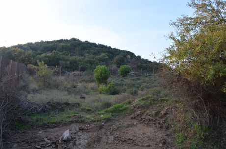 Parcel 3.000sqm for sale-Eleitheres » Nea Iraklitsa