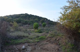 Αγροτεμάχια 3.000 τ.μ. για πώληση