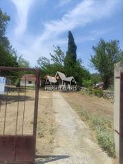 Μονοκατοικία 67 τ.μ. για πώληση, Εβρος, Φέρες-thumb-1