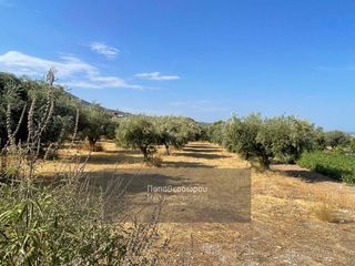 Οικόπεδο 2.000 τ.μ. για πώληση, Αχαΐα, Μεσσατίδα-thumb-2