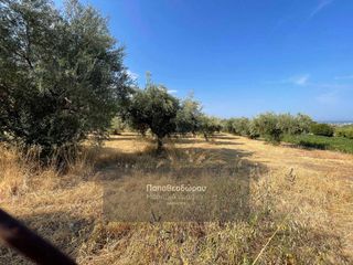 Οικόπεδο 2.000 τ.μ. για πώληση, Αχαΐα, Μεσσατίδα-thumb-4