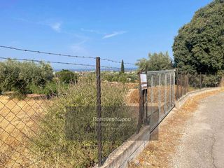 Οικόπεδο 2.000 τ.μ. για πώληση, Αχαΐα, Μεσσατίδα-thumb-6