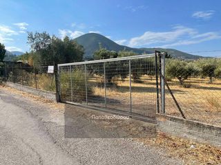 Οικόπεδο 2.000 τ.μ. για πώληση, Αχαΐα, Μεσσατίδα-thumb-1