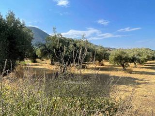 Οικόπεδο 2.000 τ.μ. για πώληση, Αχαΐα, Μεσσατίδα-thumb-3
