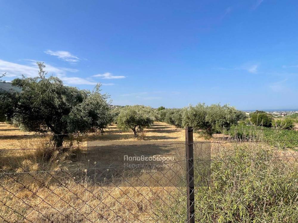 Οικόπεδο 2.000 τ.μ. για πώληση, Αχαΐα, Μεσσατίδα