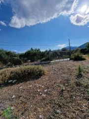 Οικόπεδο 2.000 τ.μ. για πώληση, Αχαΐα, Μεσσατίδα-thumb-7