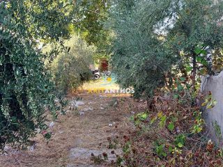 Μονοκατοικία 100 τ.μ. για ενοικίαση, Ν. Ρεθύμνου, Ρέθυμνο-thumb-10