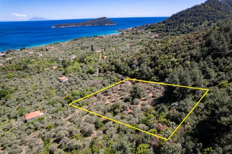 Αγροτεμάχια 6.231 τ.μ. για πώληση, Ν. Καβάλας, Θάσος