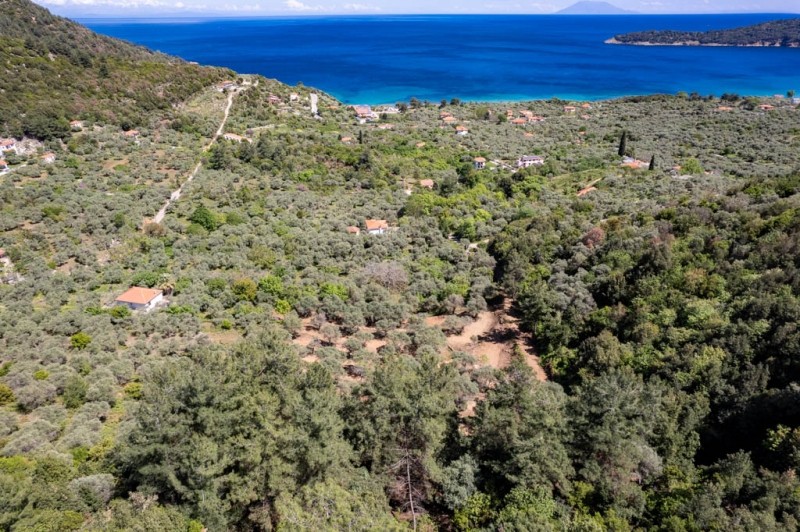 Αγροτεμάχια 6.231 τ.μ. προς πώληση, Κοίνυρα