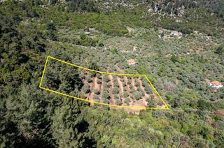 Αγροτεμάχια 6.231 τ.μ. για πώληση, Ν. Καβάλας, Θάσος-thumb-7