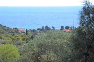 Αγροτεμάχια 6.231 τ.μ. για πώληση, Ν. Καβάλας, Θάσος-thumb-9