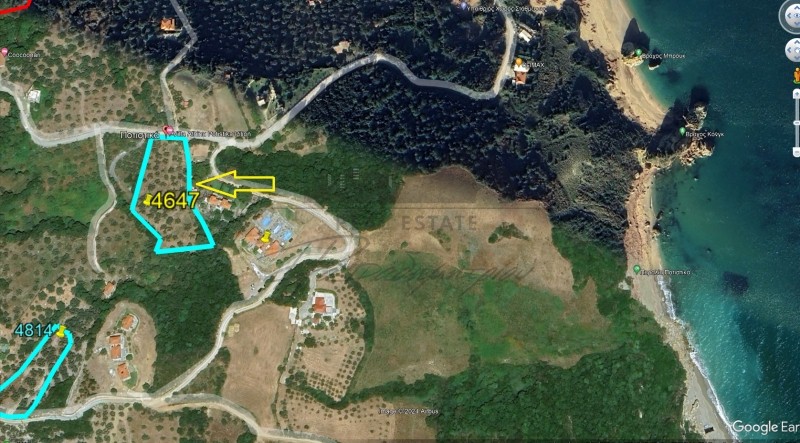 Αγροτεμάχια 4.647 τ.μ. πρός πώληση, Μαγνησία, Αργαλαστή