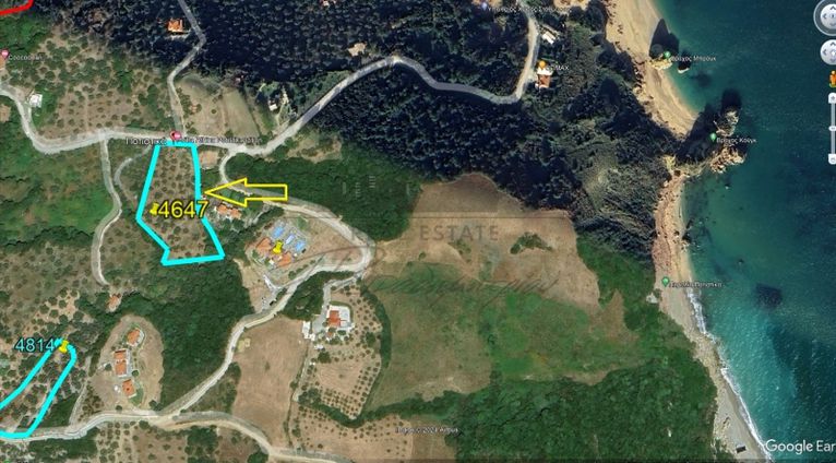Αγροτεμάχια 4.647 τ.μ. για πώληση, Μαγνησία, Αργαλαστή