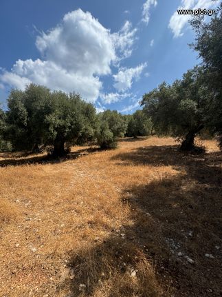 Οικόπεδο 930 τ.μ. για πώληση, Ν. Λευκάδας, Λευκάδα