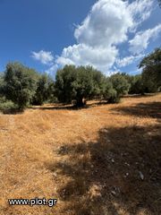 Οικόπεδο 930 τ.μ. για πώληση, Ν. Λευκάδας, Λευκάδα-thumb-3