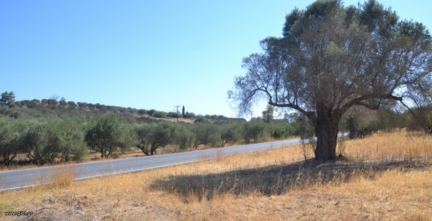 Αγροτεμάχια 4.661 τ.μ. πρός πώληση, Ν. Ηρακλείου, Τυμπάκι