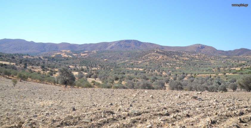Αγροτεμάχια 17.014 τ.μ. πρός πώληση, Ν. Ηρακλείου, Τυμπάκι