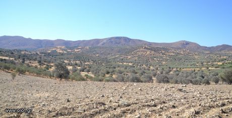 Parcel 17.014 sqm for sale