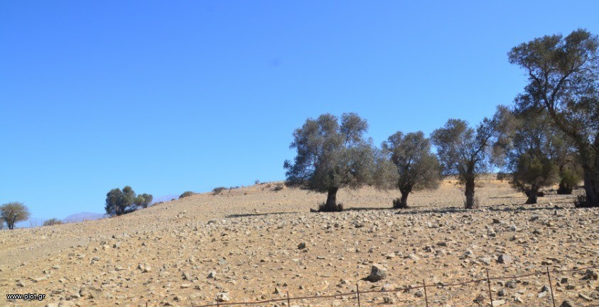 Αγροτεμάχια 17.014 τ.μ. πρός πώληση, Ν. Ηρακλείου, Τυμπάκι
