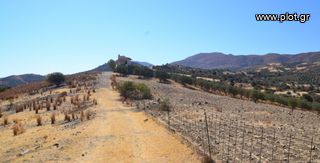 Αγροτεμάχια 17.014 τ.μ. προς πώληση, Σίβας-thumb-7