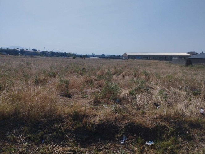 Οικόπεδο 600 τ.μ. πρός πώληση, Θεσσαλονίκη - Περιφ/Κοί Δήμοι, Εχέδωρος