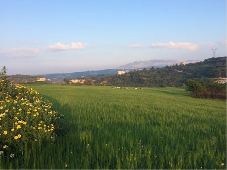 Land plot 10.317 sqm for sale