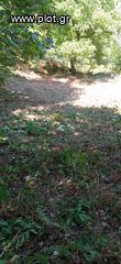 Οικόπεδο 550 τ.μ. για πώληση, Ν. Καρδίτσας, Ίταμος-thumb-2