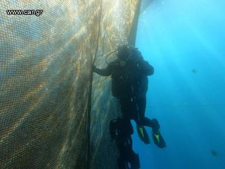 Ζητείται Επαγγελματίας Δύτης/Μαθητευόμενος Δύτης