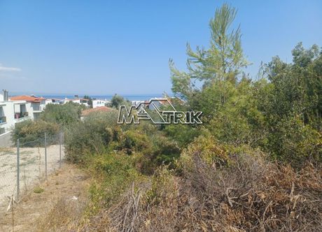 Οικόπεδο 317τ.μ. για πώληση-Παλλήνη » Πολύχρονο