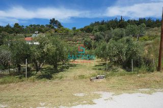 Αγροτεμάχια 427 τ.μ. για πώληση, Ν. Καβάλας, Ελευθερές-thumb-5