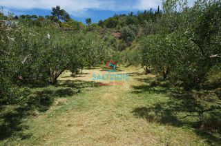 Αγροτεμάχια 427 τ.μ. για πώληση, Ν. Καβάλας, Ελευθερές-thumb-6