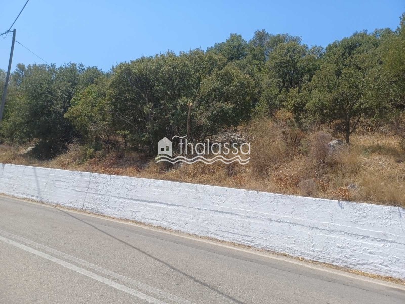 Οικόπεδο 1.343 τ.μ. πρός πώληση, Ν. Κεφαλονιάς, Κεφαλονιά