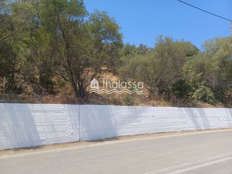 Οικόπεδο 1.343 τ.μ. πρός πώληση, Ν. Κεφαλονιάς, Κεφαλονιά